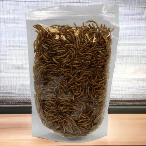 Vista 6 de Songbird Essentials Gusanos de harina secos para aves silvestres, gusanos de harina 100% naturales para pollos, pájaros azules, reptiles y patos