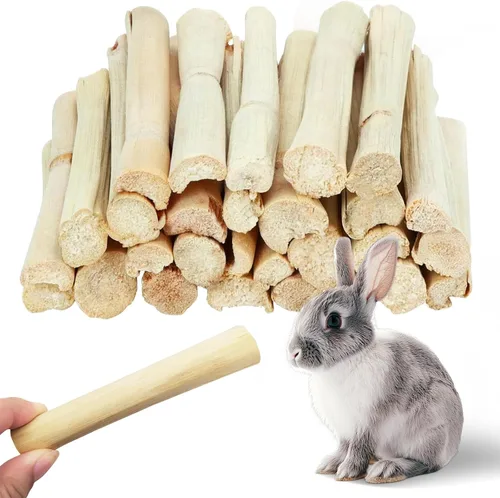 Vista 8 de Jorewood Palitos masticables de madera de manzana natural de 1 libra (16 onzas) para conejos, hámsters, chinchillas, juguete para moler dientes