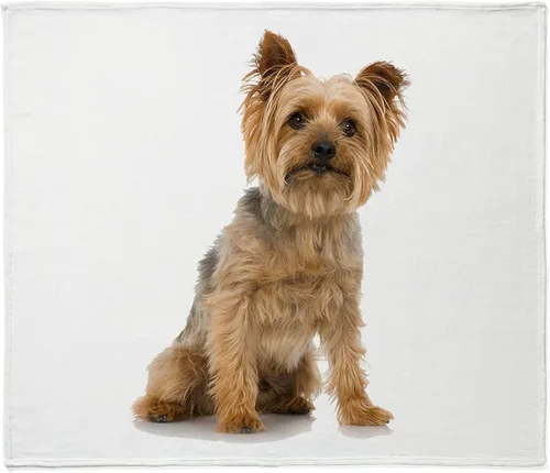 Vista 9 de CafePress Yorkie - Manta de forro polar súper suave, 60 x 50 pulgadas