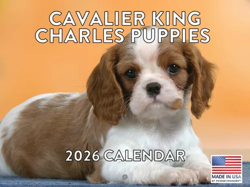 Vista 106 de Calendario mensual de pared Airedale Terrier Dog 2027