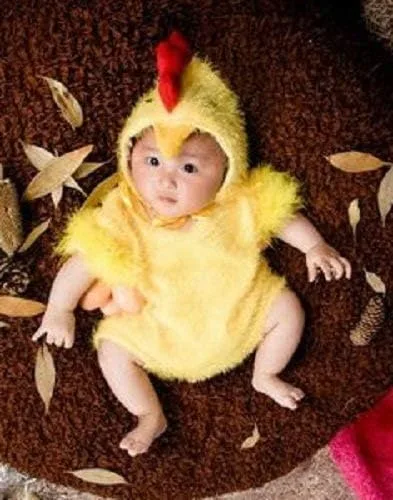 Vista 8 de LERORO Disfraz unisex para bebé recién nacido disfraz de pollo para fotografía para niños y niñas disfraz de pollo para niños pequeños de Pascua