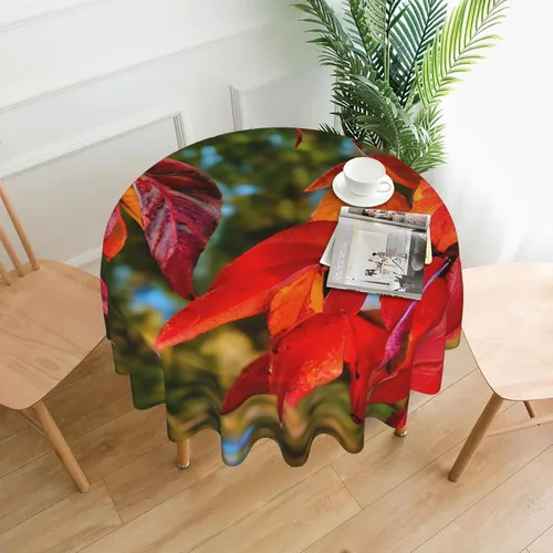 Vista 14 de Mantel decorativo redondo Cactus Desert Sunsets: transforma tus mesas de comedor y café con nuestro exuberante acento de lino