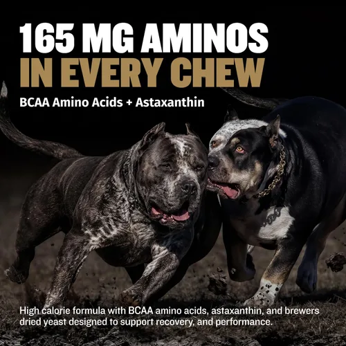 Vista 5 de Bully Max Masticables de Poder 11 en 1 para ganancia muscular, suplemento de alto contenido proteico para perros con aminoácidos, golosinas