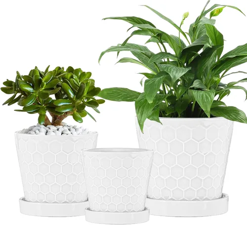 Vista 8 de Macetas de cerámica, macetas de 4+5+6 pulgadas para plantas de interior, macetas con agujeros de drenaje y bandeja de cerámica, macetas