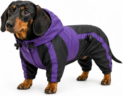 Vista 30 de Ropa para mascotas, abrigo impermeable de nailon para mascotas, chaqueta de lluvia adorable con capucha perfecta para razas de perros pequeños, Verde