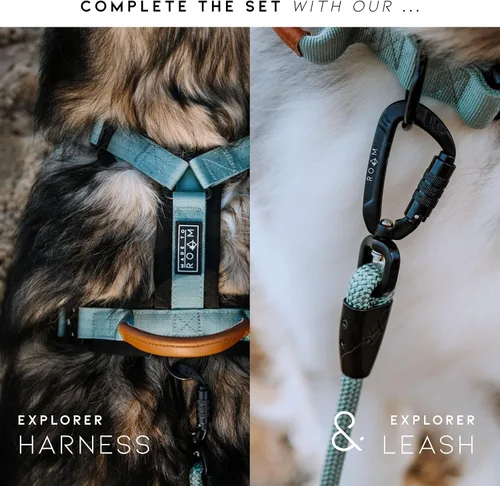 Vista 7 de MADE TO ROAM - Collar Premium Explorer Control, collar ajustable de nailon resistente para perro con hebilla metálica de liberación rápida y mango
