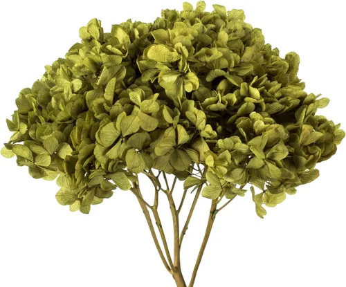 Vista 2 de Vickerman Hortensias de musgo antiguo de 15 pulgadas con múltiples segmentos de rama. Conservada