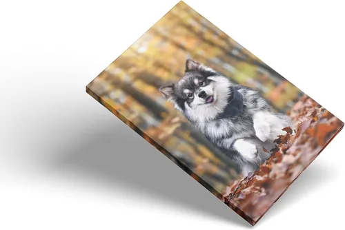 Vista 4 de Impresiones en lienzo personalizadas con tus fotos, imágenes personalizadas sobre lienzo, arte de pared para dormitorio, sala de estar, boda, bebé