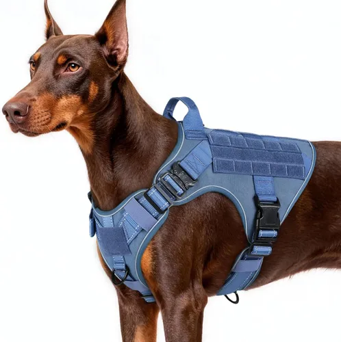Vista 51 de rabbitgoo - Arnés táctico para perros pequeños, arnés resistente para mascotas con asa, chaleco de servicio sin tirones para razas pequeñas, chaleco