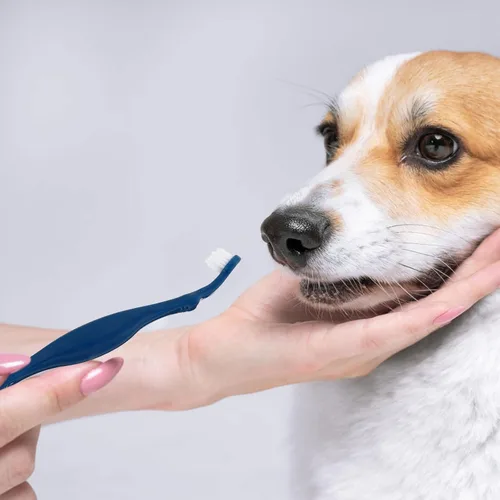 Vista 5 de 3pcs PET Toothbrushes Double Head Design Long Handle for Dog Oral Care