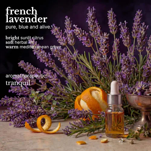 Vista 6 de Red Flower Lavanda francesa hidratante para el cabello, 10.2 onzas líquidas