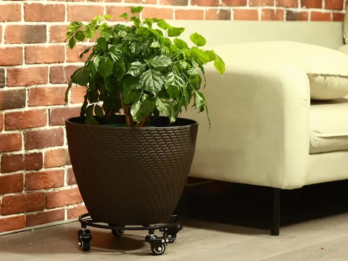 Vista 8 de Paquete de 2 organizadores grandes de metal para plantas con ruedas de 13.6 pulgadas, soportes rodantes para plantas de hierro forjado, rodillos