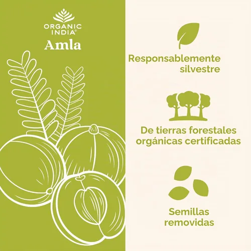 Vista 3 de ORGANIC INDIA Cápsulas de Amla Orgánicas - Suplemento Vitamínico Herbal de Grosella Espinosa India, Suplemento de Amla, Apoyo Inmunológico, Vegano