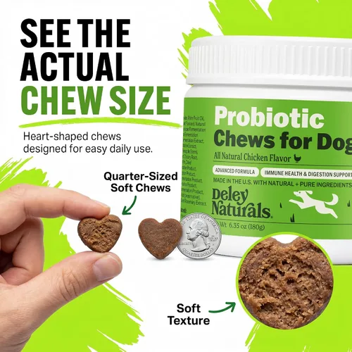 Vista 9 de Deley Naturals Probióticos masticables para perros – 4 mil millones de UFC probióticos para perros, prebióticos, enzimas para la digestión