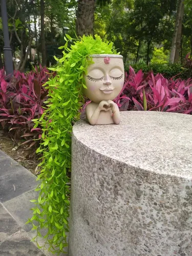 Vista 3 de Macetas para suculentas, macetero con cabeza para plantas de interior, macetas para plantas de interior, macetas para suculentas