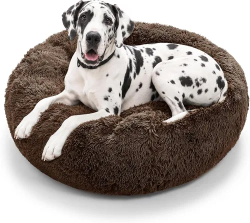 Vista 22 de JOLLYVOGUE - Cama para perros y gatos, cama relajante y antiestrés para mascotas y perros pequeños, cojín esponjoso en forma de dona para mascotas