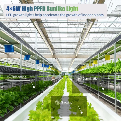 Vista 2 de RWNTAO Luces de cultivo para plantas de interior, espectro completo de 3000 K, lámpara de cultivo de plantas de 1 pie con interruptor lateral