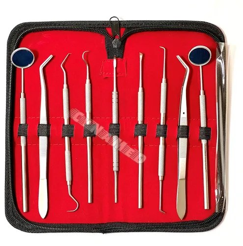 Vista 2 de Premium Alemán Dental Scaler Pick Herramientas de acero inoxidable con espejo de inspección Set 9 PCS