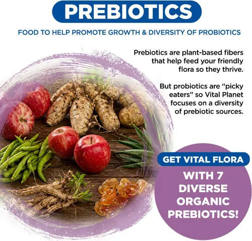 Vista 5 de Vital Planet - Vital Flora Probiótico diario para mujer, 60 mil millones de UFC, 60 cepas diversas, 7 prebióticos orgánicos, apoyo vaginal e