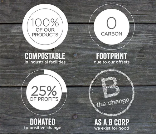 Vista 4 de World Centric - Vasos de papel 100% compostables, hechos de papel certificado FSC, forro biológico a base de plantas, para bebidas calientes