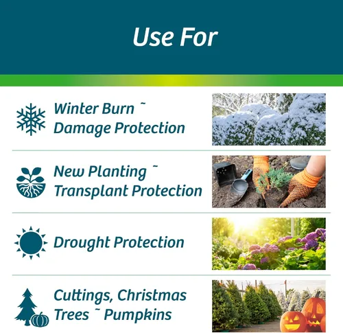 Vista 2 de Wilt-Pruf® Concentrado Protege contra daños en invierno, sequías y estrés Simplemente rocía y deja secar Bloquea la humedad con película