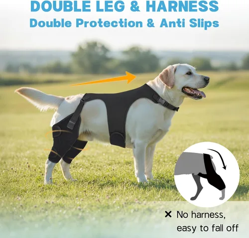 Vista 3 de Rodilleras para perro para soporte de pierna trasera, soporte ACL Negro