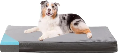 Vista 23 de Cama refrescante para perros grandes, cama ortopédica de espuma viscoelástica para mascotas con funda extraíble lavable, ideal para perros Rosa