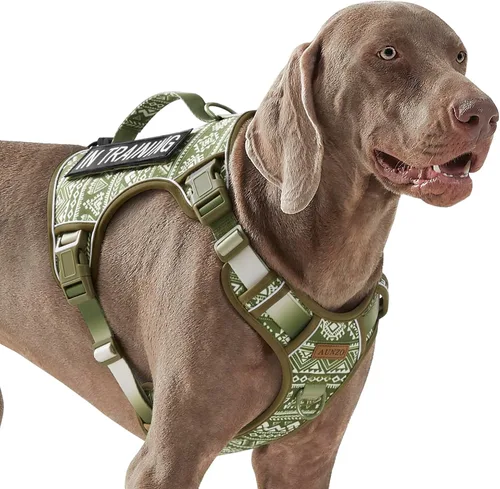 Vista 28 de Arnés para perro sin tirones para perros de tamaño pequeño, chaleco ajustable para caminar fácilmente, material Oxford transpirable, tiras Verde