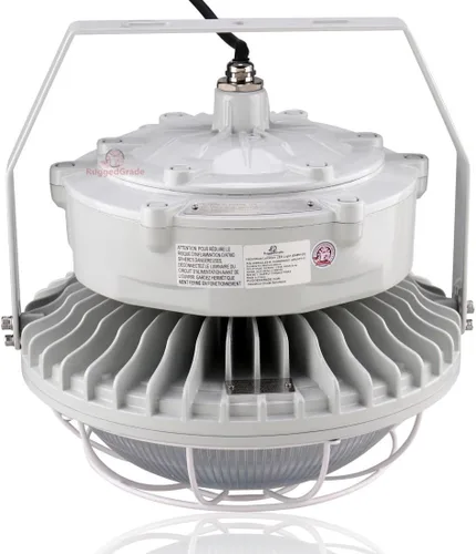 Vista 5 de RuggedGrade 100W Hercules Series LED Hazardous Location Light