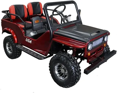 Vista 9 de HHH VITACCI GR2-125cc Go Kart para adultos y jóvenes con 3 velocidades semiautomático con marcha atrás y grandes ruedas de aluminio de 18 pulgadas