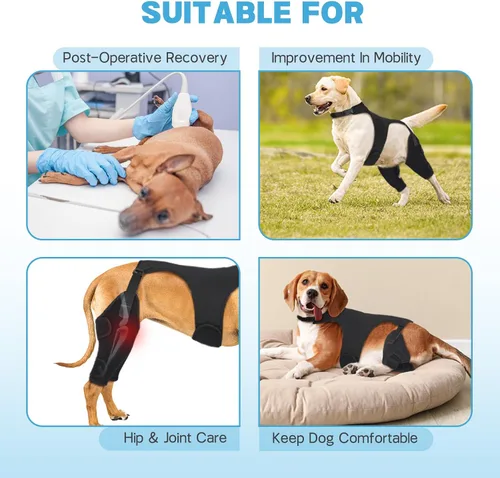 Vista 5 de Rodilleras para perro para soporte de pierna trasera, soporte ACL Negro