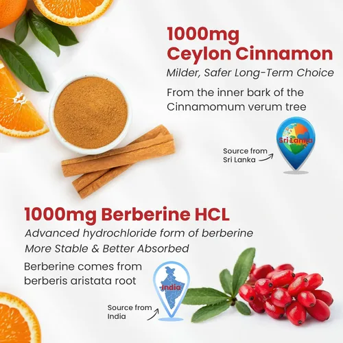 Vista 3 de Gomitas de Berberina con Canela de Ceilán 2000mg Sin Azúcar, Suplemento Orgánico de Berberina HCI con Canela de Ceilán, Melón Amargo, Té Verde