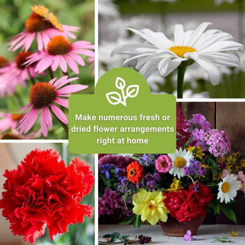 Vista 5 de Sow Right Seeds - Gran colección de semillas de flores para plantar - Zinnias, girasoles, margaritas, cosmos, claveles, stock y más - Atraen a