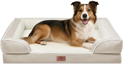 Vista 97 de Comfort Expression - Cama ortopédica para perros medianos, 28 x 19 pulgadas, cama impermeable y de apoyo de espuma con cojines removibles, sofá