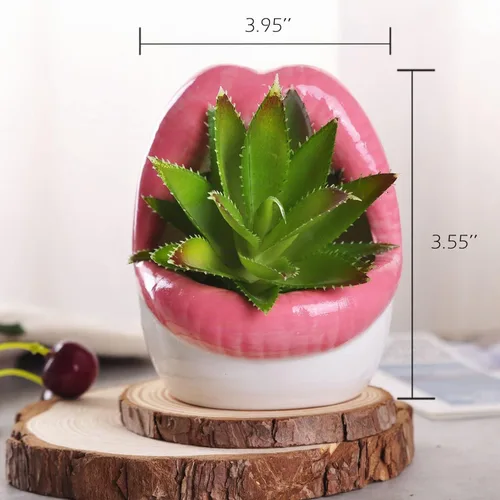 Vista 2 de WHJY Maceta de labios atractivos, maceta suculenta de cerámica - rosa
