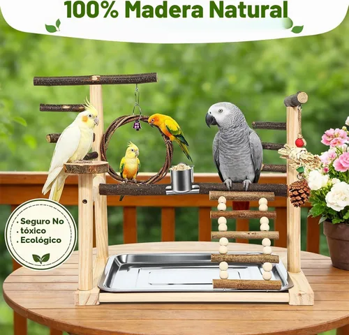 Vista 5 de Soporte de loro de madera para pájaros pequeños a medianos