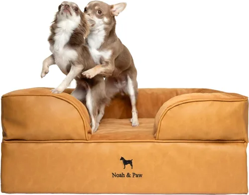 Vista 28 de NOAH & PAW Cama para perros pequeños, 20 x 15 x 8 pulgadas, cama para gatos de interior, espuma viscoelástica ortopédica de cáscara de huevo