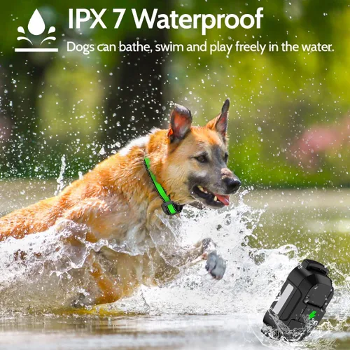 Vista 2 de Collar eléctrico de entrenamiento para perros con 4 modos de entrenamiento y control remoto recargable, rango impermeable de 3300 pies para perros