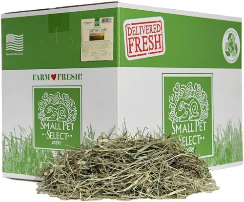 Vista 10 de Small Pet Select 2º Corte Perfect Blend Timothy Hay, alimento para cobaya, conejo, hámster, conejito, chinchilla u otros animales pequeños, heno