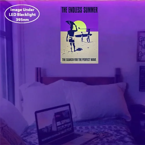 Vista 5 de Endless Summer - Póster de luz negra con licencia oficial, no flocado, 24 x 36 pulgadas