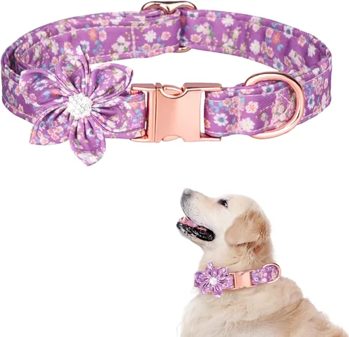 Vista 9 de TDTOK Collar de perro femenino para perros pequeños, medianos y grandes, lindo collar de perro con hebilla de seguridad metálica desmontable
