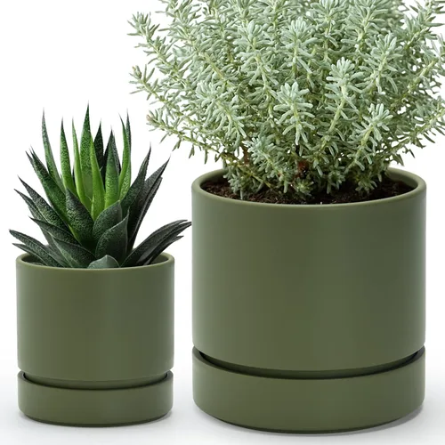 Vista 48 de Phoenix Vine 4 Inch Planter Pot with Drainage Hole & Saucer, Deep Water Catch Tray, Straight Cylindrical Round Pot for Plants, Olive, Pack of 1