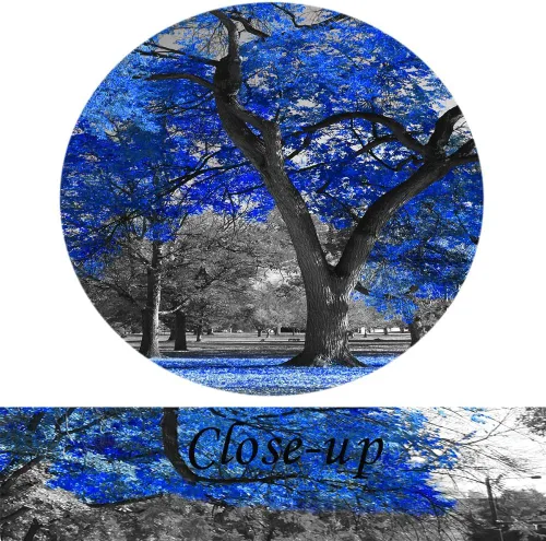 Vista 5 de Kreative Arts cuadro de lienzo con pintura de árbol azul