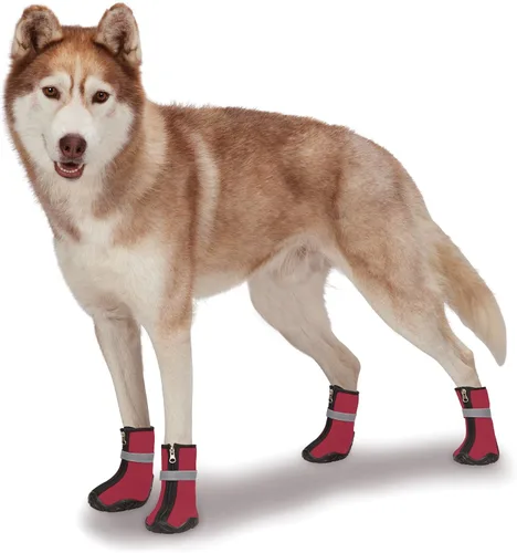 Vista 5 de Zack & Zoey ThermaPet - Botas de neopreno, color azul, talla XS