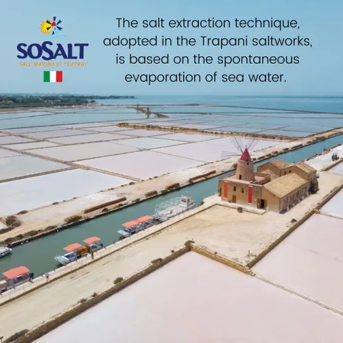 Vista 5 de SOSALT DAL MARE DI TRAPANI - Sal marina fina de Sicilia, (22.0 lbs) 22 lb Bolsa a granel para servicio de alimentos, todo natural, sal marina