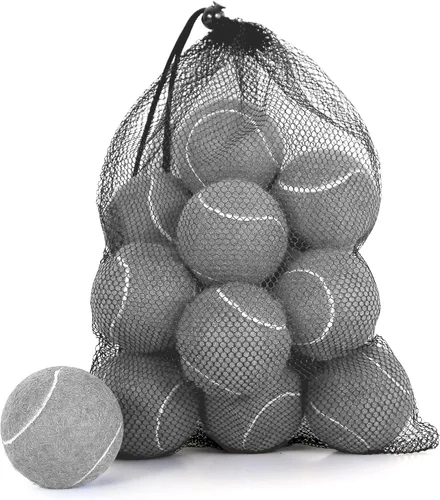 Vista 24 de Tennis Balls, High Bounce for Practice and Dog Play