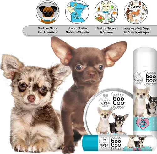 Vista 6 de The Blissful Dog 1 oz TIN Chihuahua Booboo Mantequilla