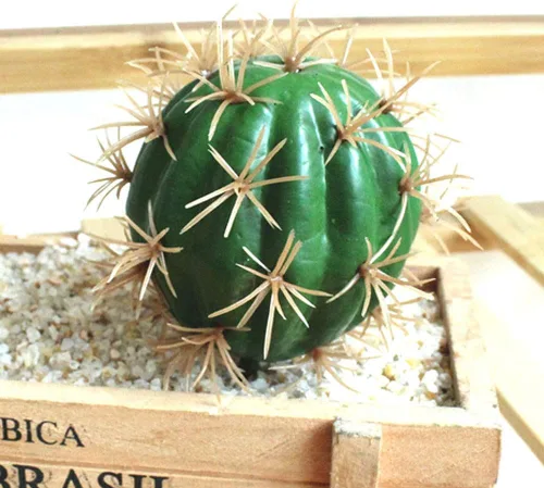 Vista 6 de FagusHome Decoración de cactus artificiales, plantas de cactus falsas, suculentas, cactus artificiales, 4 piezas sin macetas, decoración