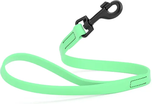 Vista 28 de Dogline Biothane - Correa impermeable para perro, tejido de nailon con revestimiento fuerte, con herrajes negros, a prueba de olores, fácil