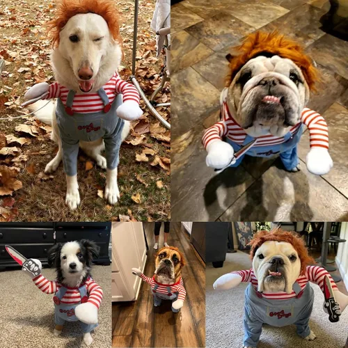 Vista 4 de Disfraz de Halloween para mascotas, disfraz divertido de Halloween, cosplay, ropa linda, ajustable, accesorios de ropa para perros pequeños
